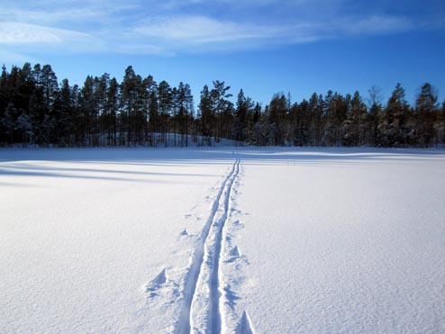 Skidspår